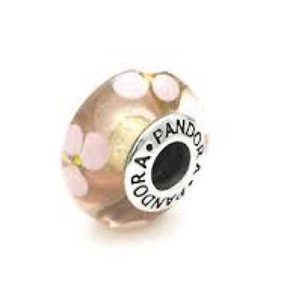 Pandora Pink Water Lily Murano 925 Rare! RETIRED!
Sterling Silver - Picture 2 of 9